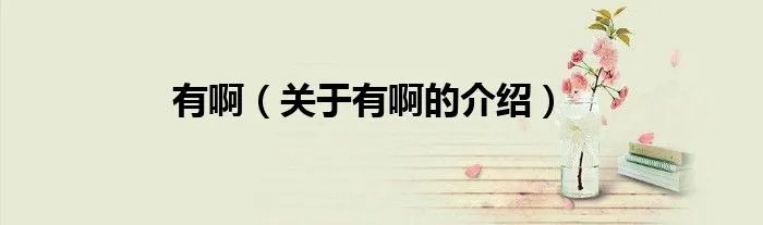 有啊（关于有啊的介绍）