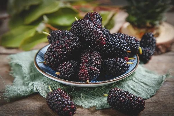 碱性水果有哪些