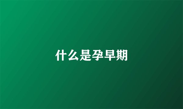 什么是孕早期