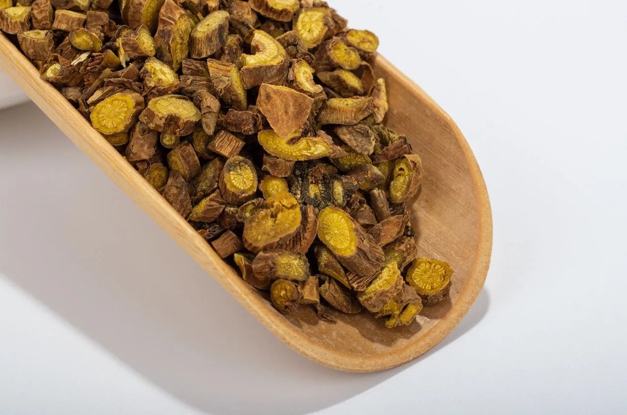 野生黄芩图片大全