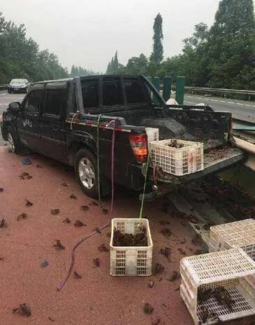 湖北何处被称为小龙虾百慕大？