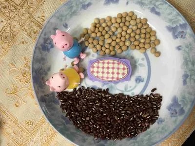 高密度脂蛋白偏低的原因及危害    高密度脂蛋白偏低的饮食调理