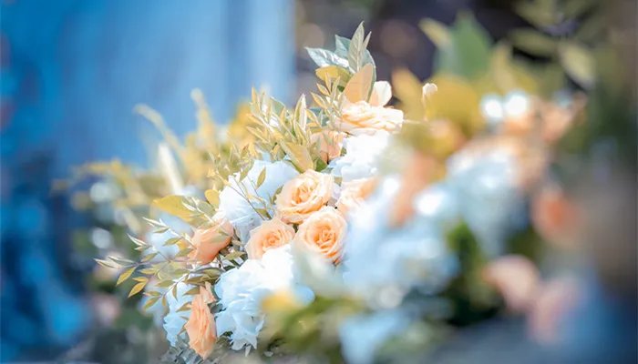 巨蟹女嫁得最多的星座 巨蟹女嫁得最多的星座是哪些