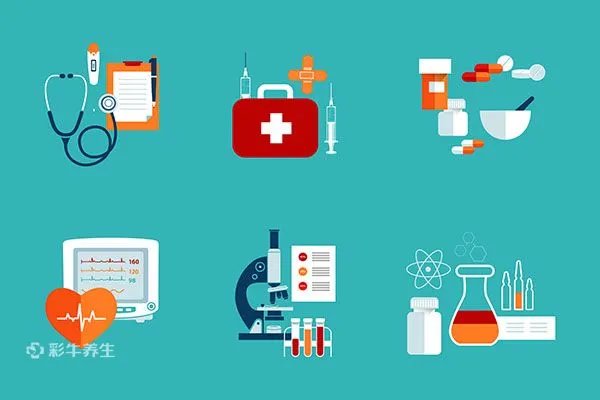 岩白菜的功效与作用