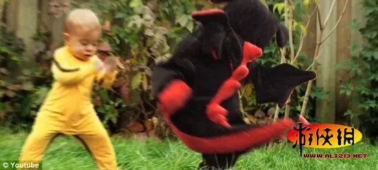 降龙娃娃！幼女“功夫”大战玩具恐龙爆红网络