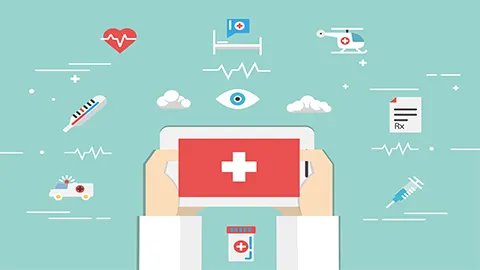 黑加仑的功效与作用