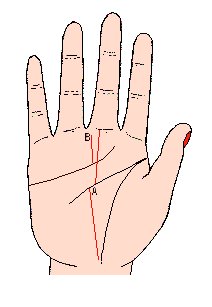 事业线图解，最详细的图文让你看懂事业线命运线