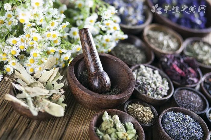 浙二医院网上挂号注意事项