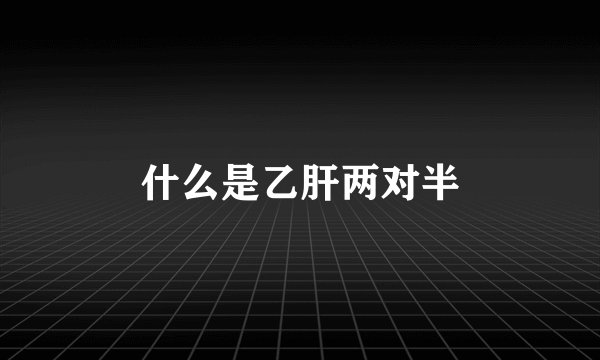 什么是乙肝两对半