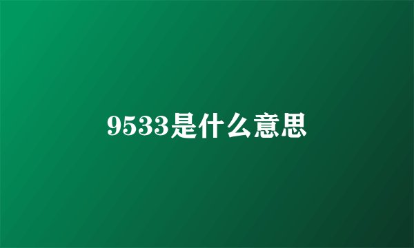 9533是什么意思