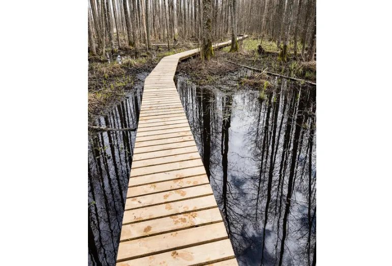 世界最长的十大桥梁 中国上榜七座，第一全长164.8公里