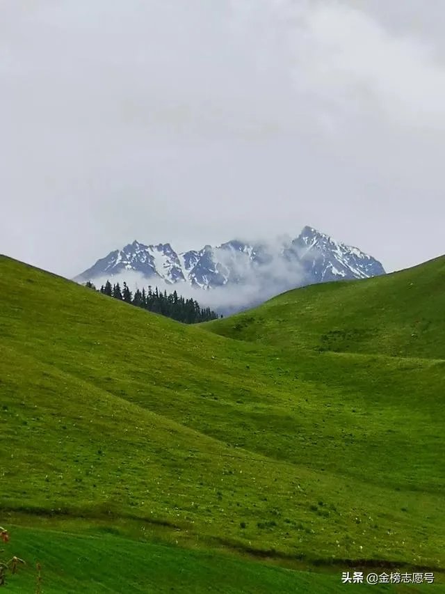 清华大学五道口金融学院怎么样？