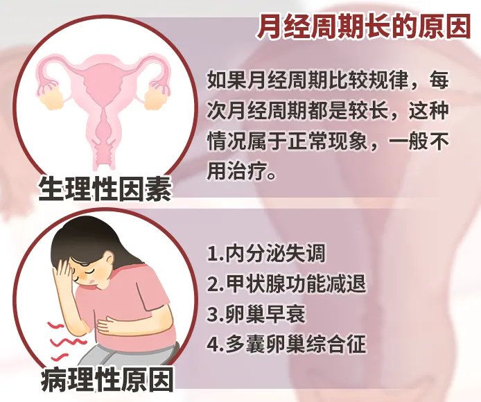 月经周期长是什么原因