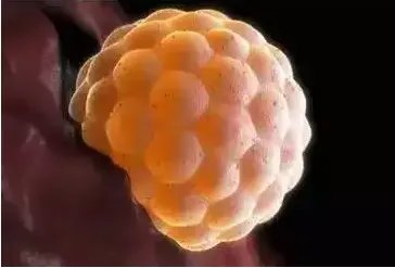 三代试管哪个医院好-北京医科大学第三医院和中信湘雅是国内试管婴儿成功率比较高的医院！