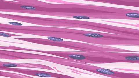 异型淋巴细胞是什么