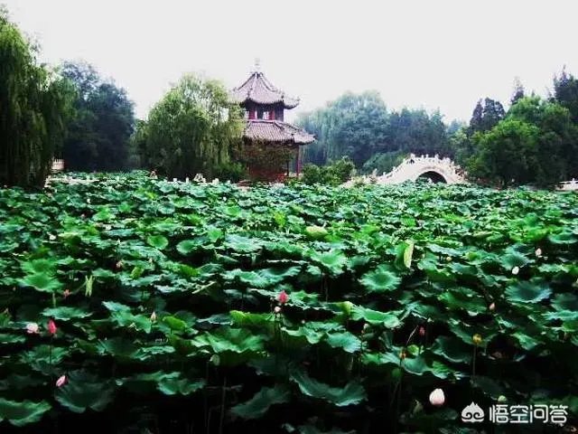 保定为什么被称作京畿之地？