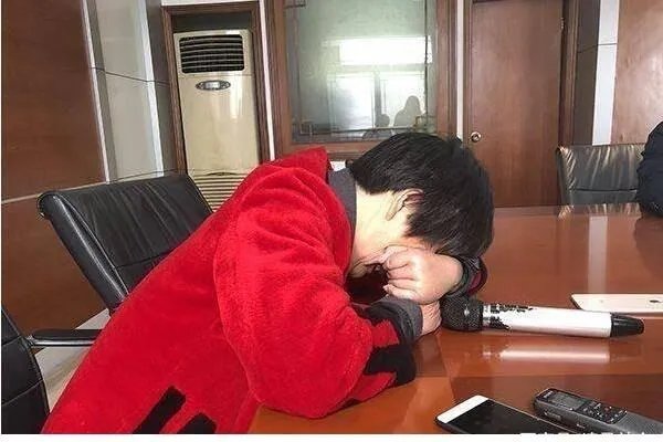 被堂姐顶替上学一事处理结果公布,堂姐被处以停职处理,合理吗?