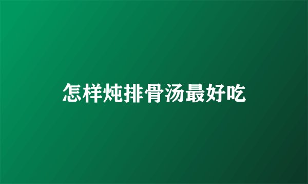 怎样炖排骨汤最好吃