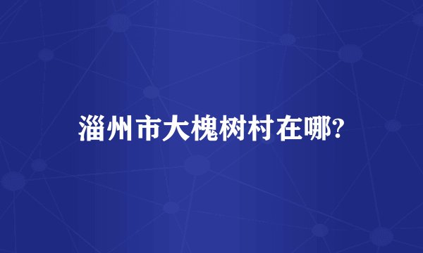 淄州市大槐树村在哪?