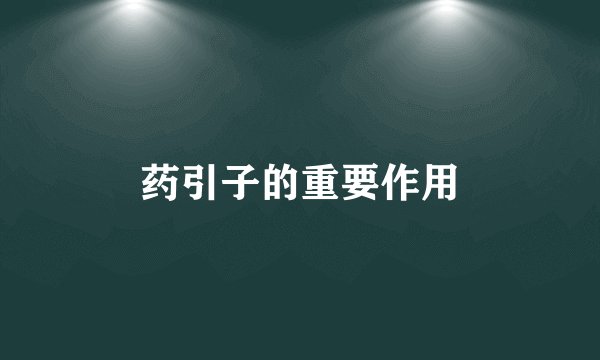 药引子的重要作用