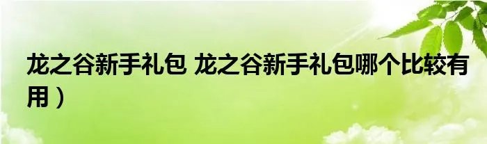 龙之谷新手礼包 龙之谷新手礼包哪个比较有用）