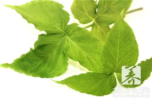 水半夏和法半夏的区别