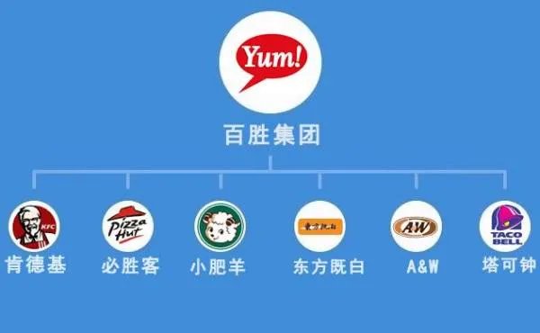 百胜集团旗下品牌