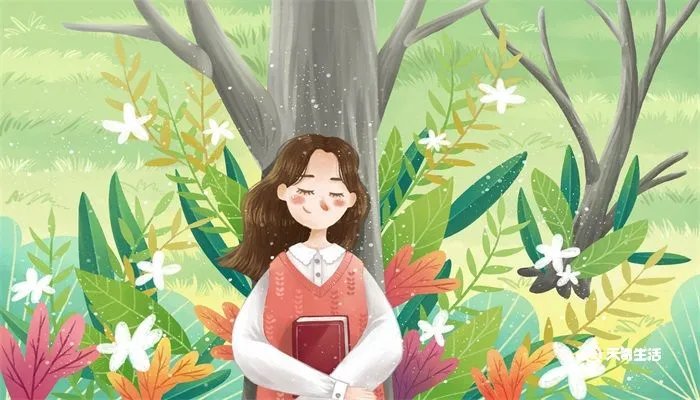 酱油党是什么意思