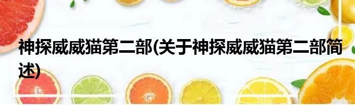 神探威威猫第二部(关于神探威威猫第二部简述)