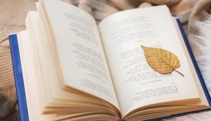 今晚的月色真美下一句