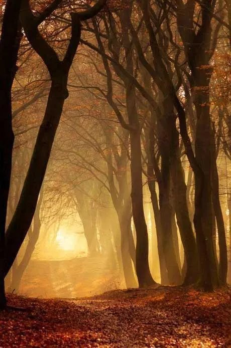 唯美图片伤感图片?