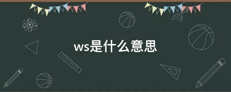 ws是什么意思