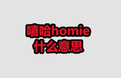 homie含义介绍