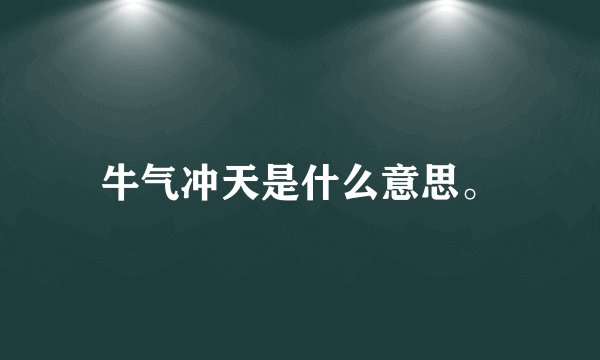 牛气冲天是什么意思。