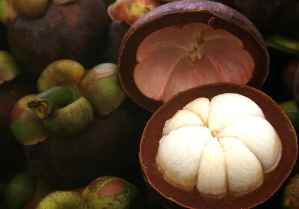 孕妇可以吃山竹吗？