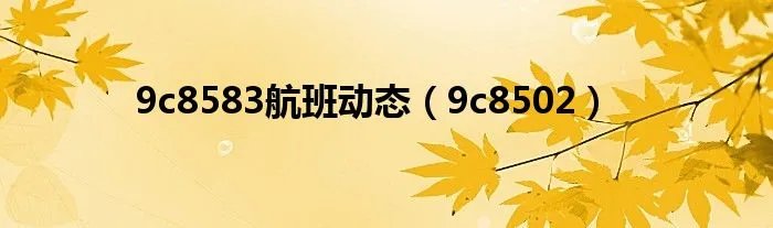 9c8583航班动态（9c8502）