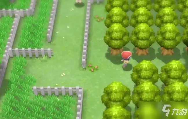 《宝可梦晶灿钻石明亮珍珠》全神兽位置及捕捉图文教程