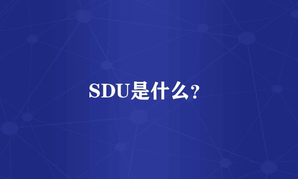 SDU是什么？