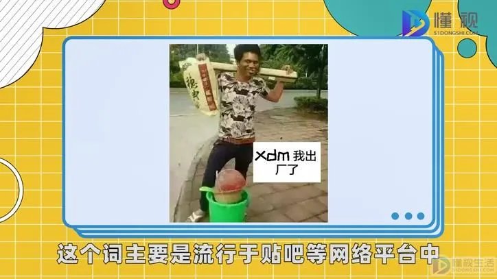 xxdm是什么意思