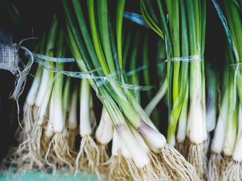 大葱的功效与作用