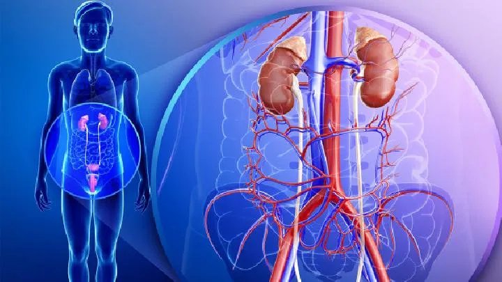 尿毒症有什么症状呢?