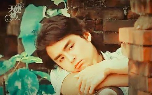 明道演过的电视剧