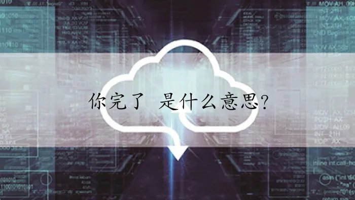 你完了 是什么意思？