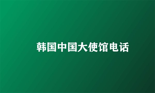 駐韩国中国大使馆电话