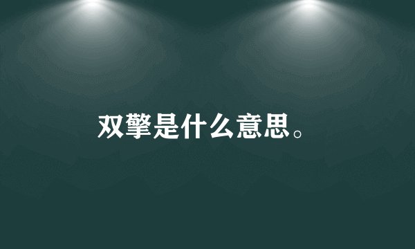 双擎是什么意思。