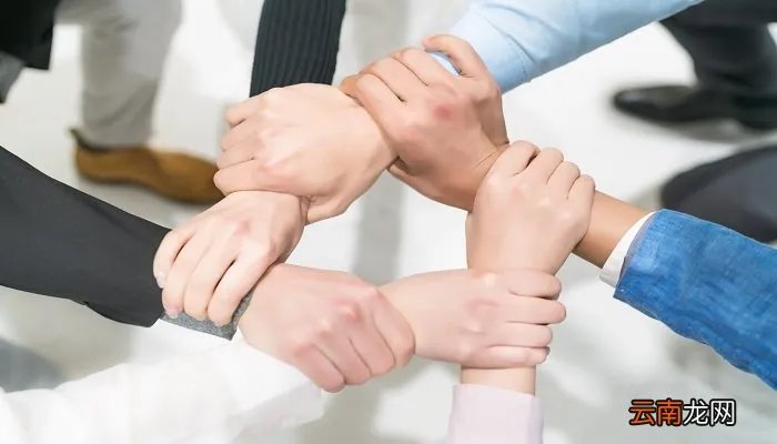 apec是什么组织 apec指的是什么