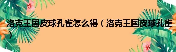 洛克王国皮球孔雀怎么得（洛克王国皮球孔雀）