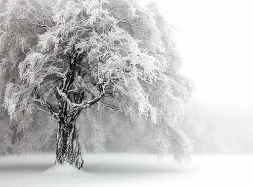 唯美图片伤感图片?