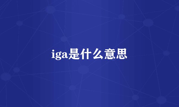 iga是什么意思