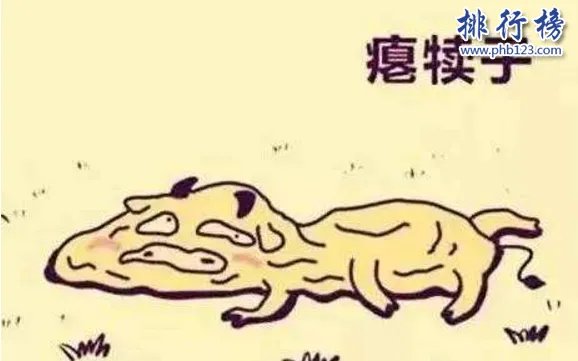 东北四大神兽:东北四大神兽和八大犊子萌萌哒